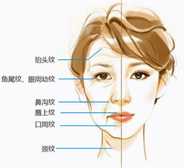 去除面部皺紋的方法有哪些呢