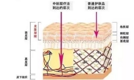 才是SK2+HR+Lamer組成的王炸！