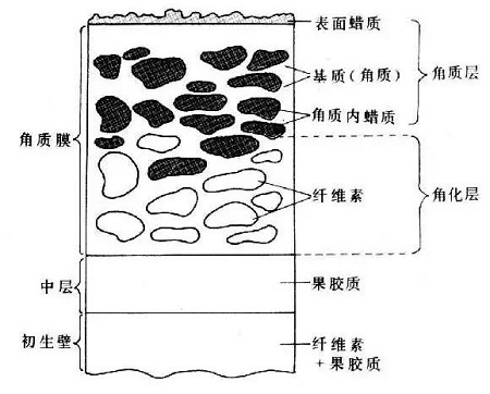 盤點四種需要來一針的膚質(zhì)