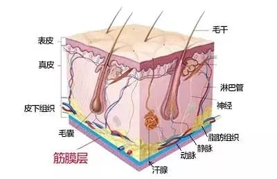 沒有誰能永遠(yuǎn)年輕，不老都是保養(yǎng)的早！