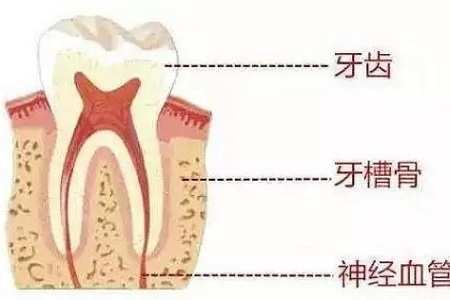 做牙齒矯正 ，真的要趁早！