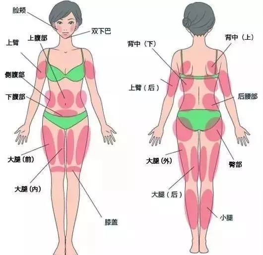 讓明星“一夜回春”的自體脂肪到底適不適合你？