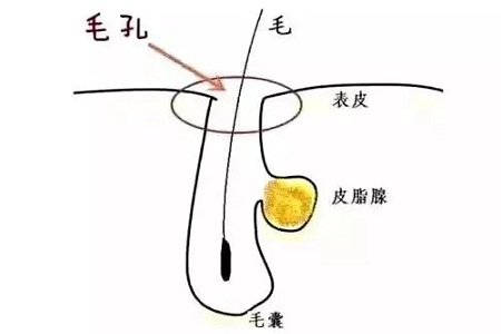 如何在炎熱的夏天，做清爽白凈的小姐姐？