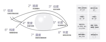 美眼張誠坐診美萊，淺談為什么你的眼睛不夠美？