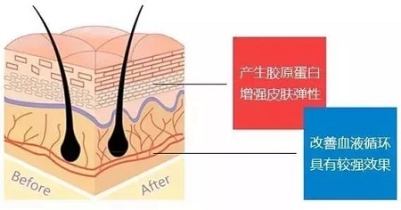 關于*雕，你想了解的都在這里！